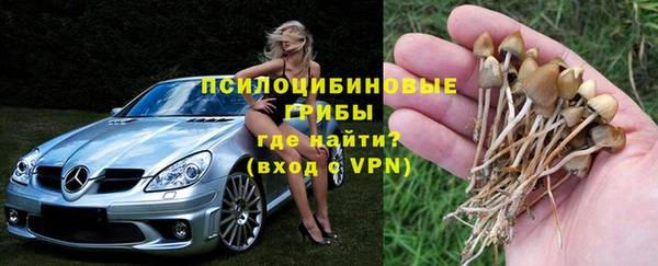 экстази Богданович
