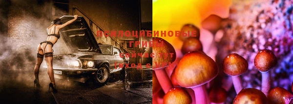 a pvp Богородск