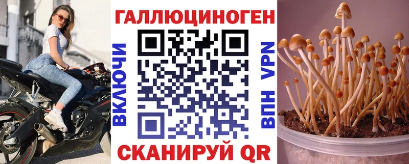 Псилоцибиновые грибы Psilocybine cubensis  купить   Новороссийск 